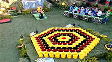 Big Brother 11 Buzzworthy HoH Competition